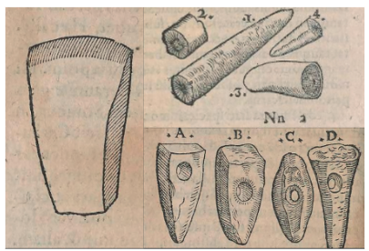 Ceraunias tipo hacha perforada y belemnites