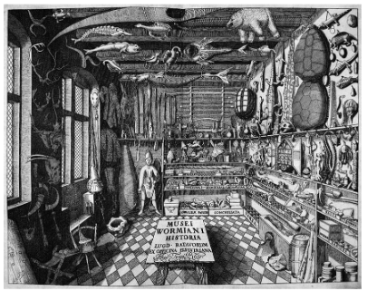 Gabinete de curiosidades montado por el danés Ole Worm en Copenhague