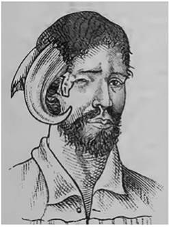 Retrato de un hombre que tenía un cuerno entero en la sien derecha, en medio de dos cuernos rotos